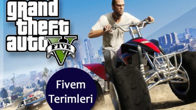 Fivem Terimleri