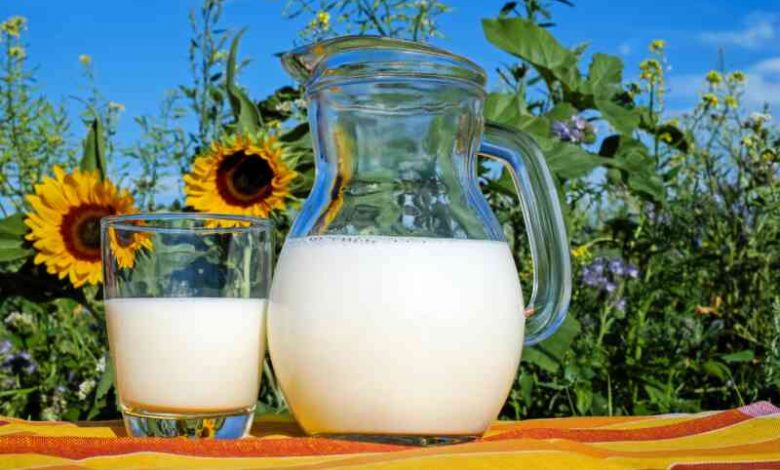 Bir litre süt kaç su bardağı yapar