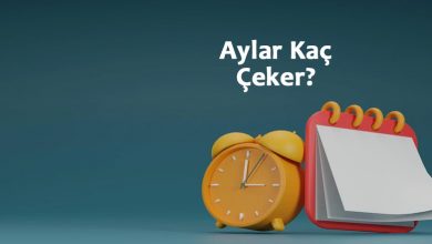 Aylar Kaç Çeker